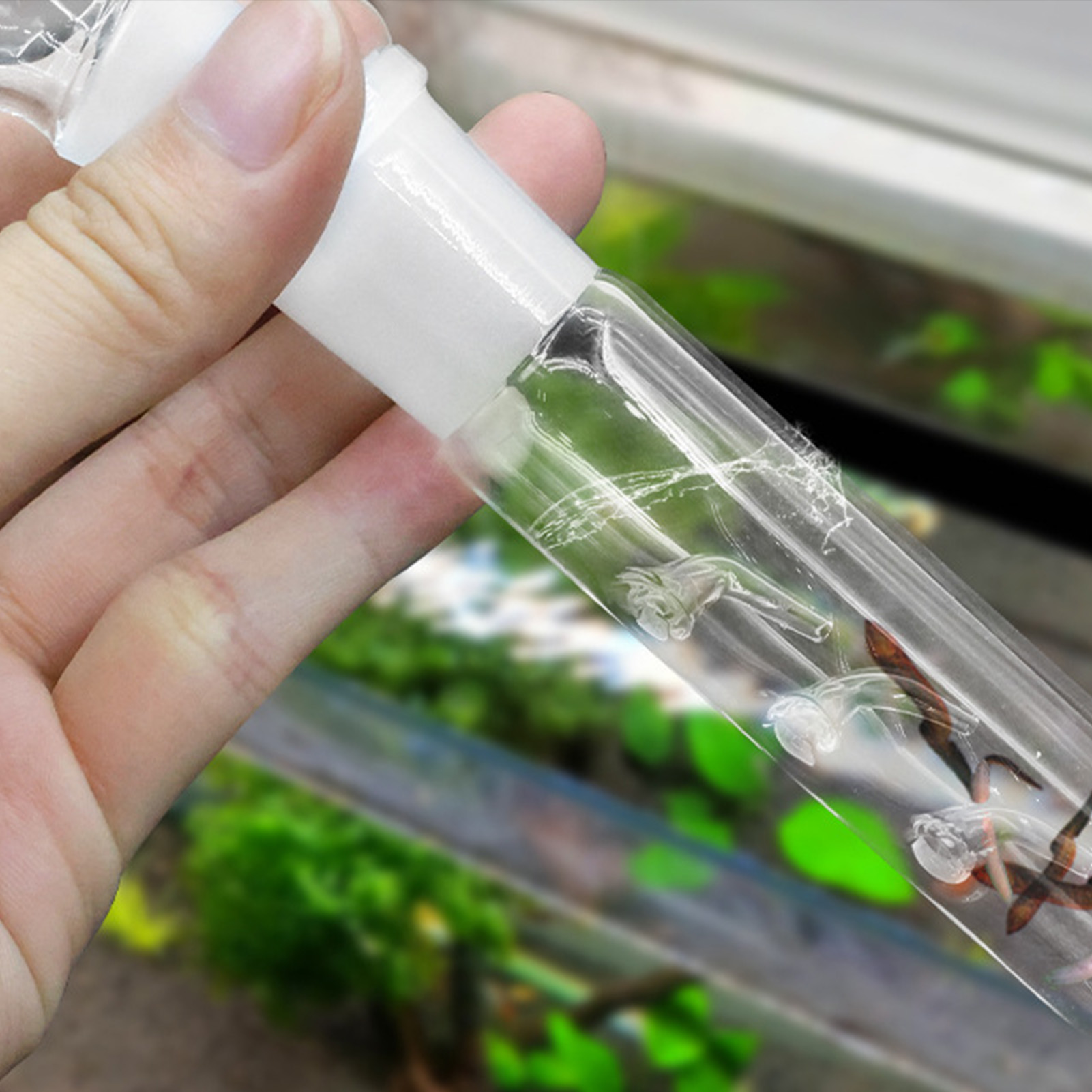 Marine Aquarium Glass Cleaner - 3 gaten bloedzuigersvanger platwormval glasreiniger gereedschap