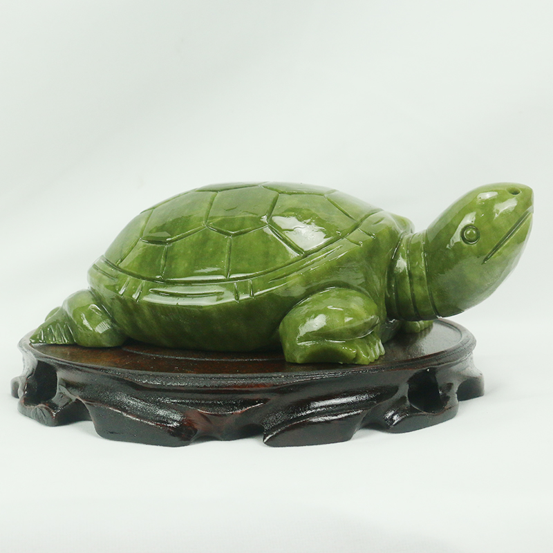 Natuurlijke Jade/schildpad Scu - Marine Aquarium All In One recensie en prijs