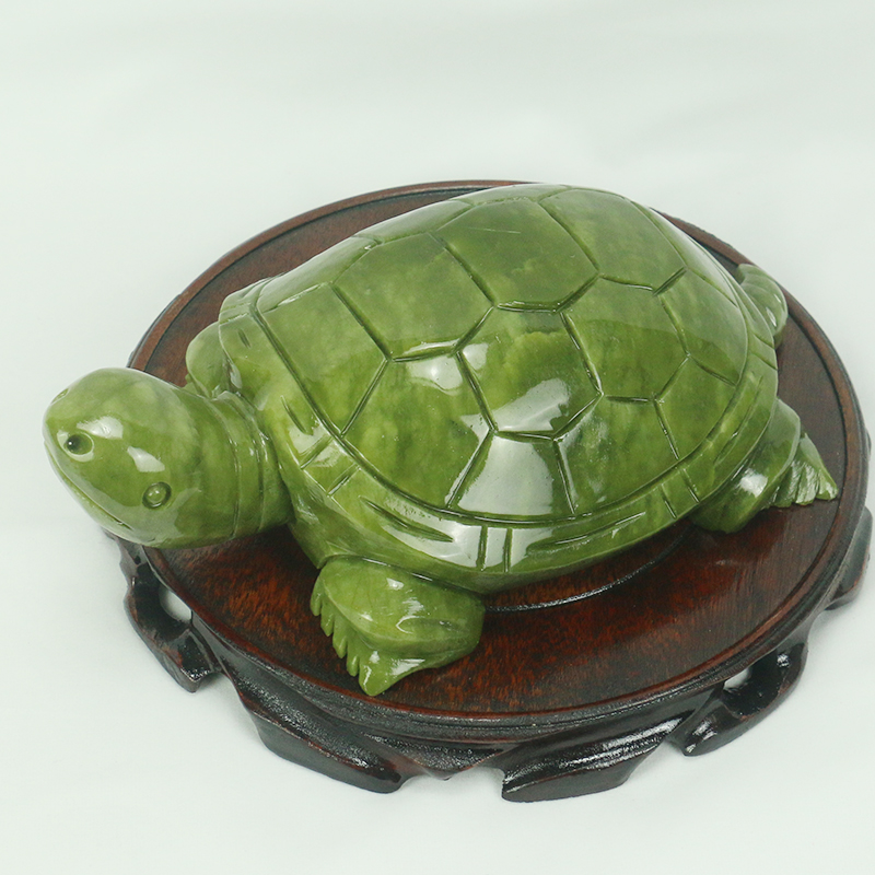 Natuurlijke Jade/schildpad Scu - Marine Aquarium All In One recensie en prijs