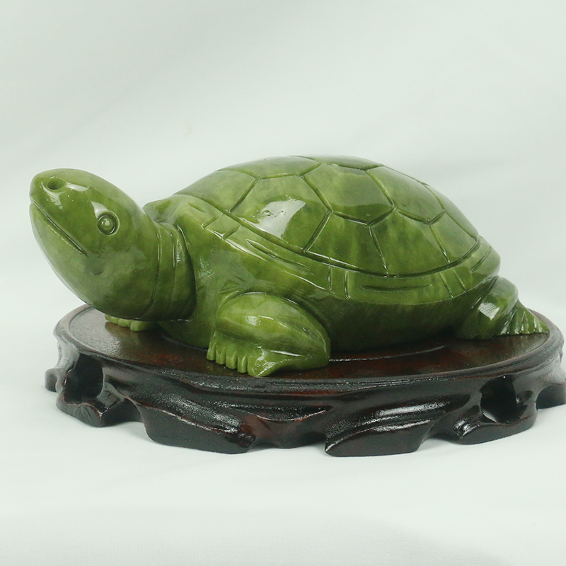 Natuurlijke Jade/schildpad Scu - Marine Aquarium All In One recensie en prijs