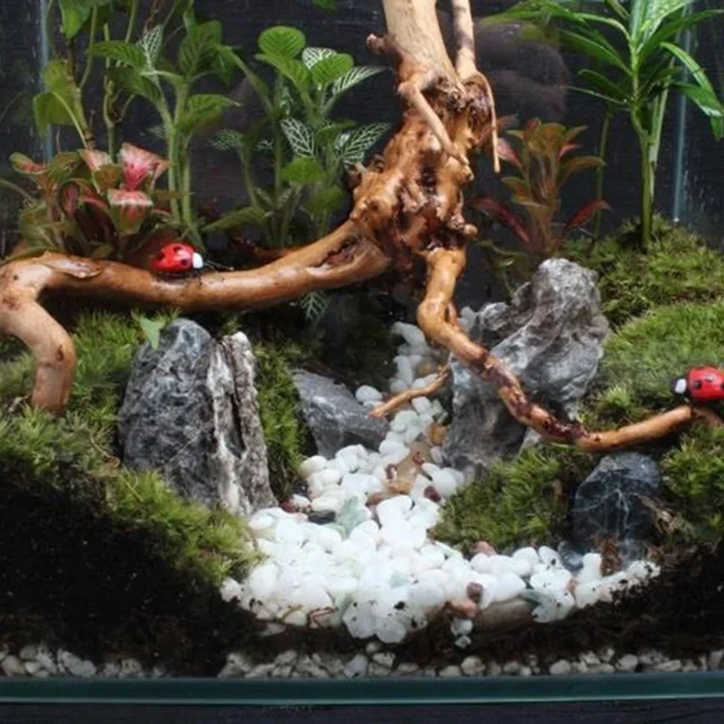 Natuurlijke Boomstam Drijfhout - Marine Aquarium All In One recensie en prijs