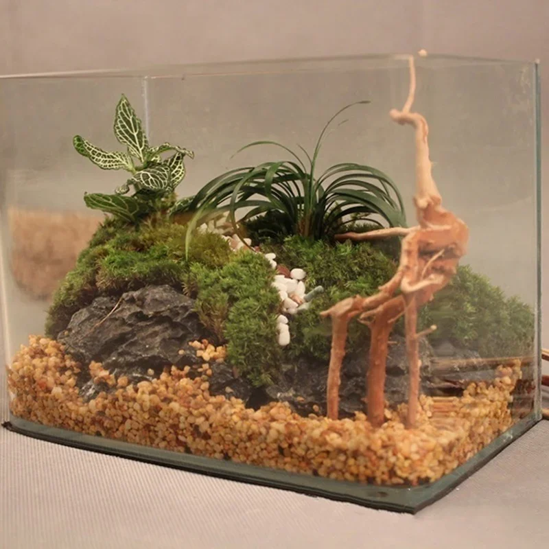 Natuurlijke Boomstam Drijfhout - Marine Aquarium All In One recensie en prijs