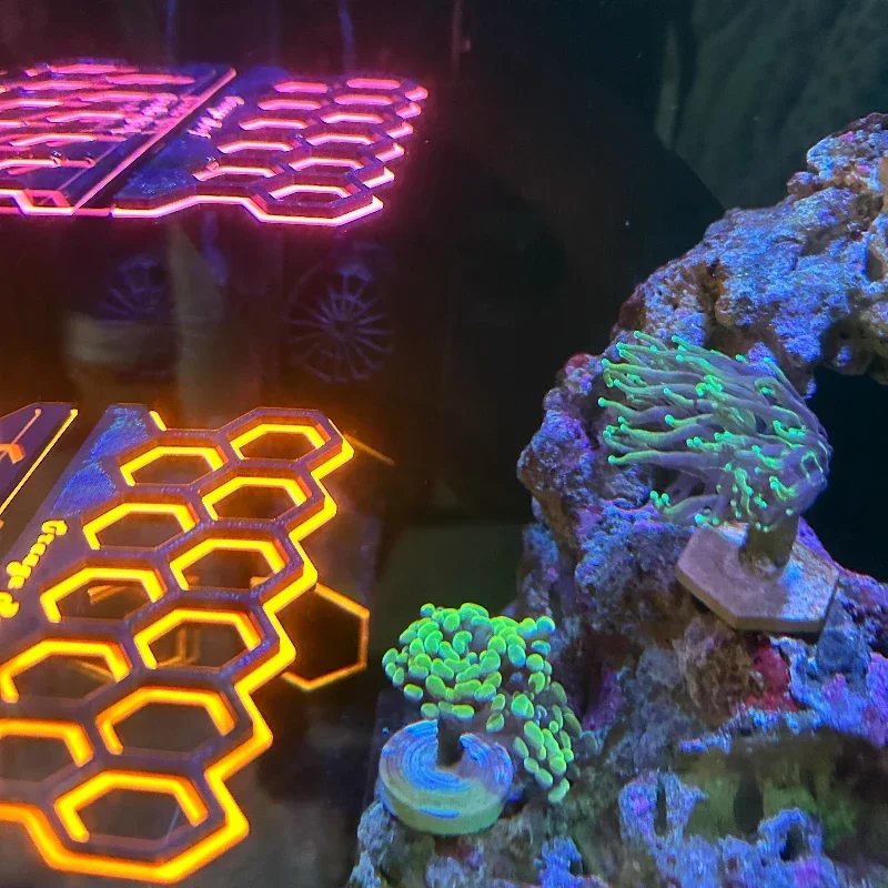 Aquarium Fluorescerende Magnet - Coral Frag Plug recensie en prijs