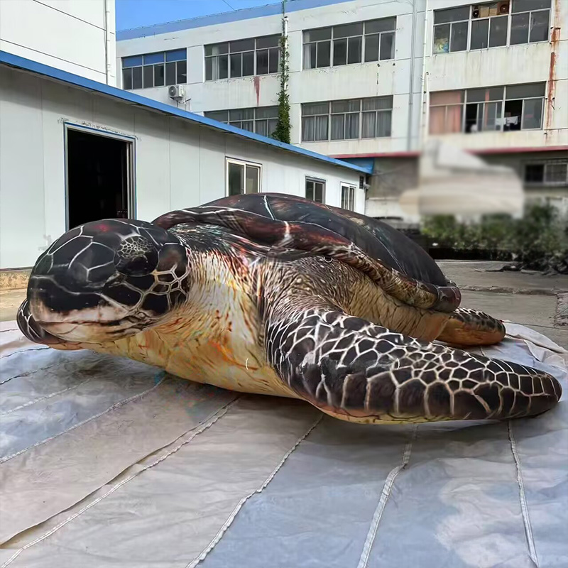 Opblaasbare zeeschildpadden, m - Aquarium Marine Shop recensie en prijs