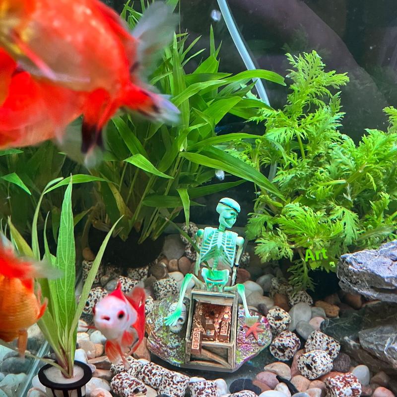 Aquarium Aërobe Landschap Bubb - Marine Aquarium All In One recensie en prijs