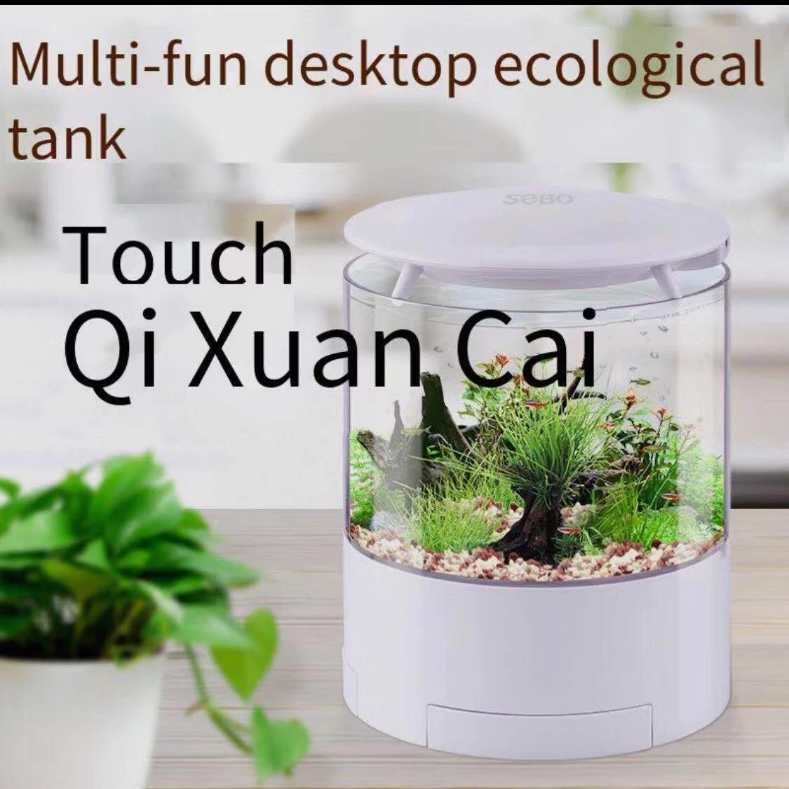 Ronde kleurrijke lichten deskt - Marine Aquarium All In One recensie en prijs