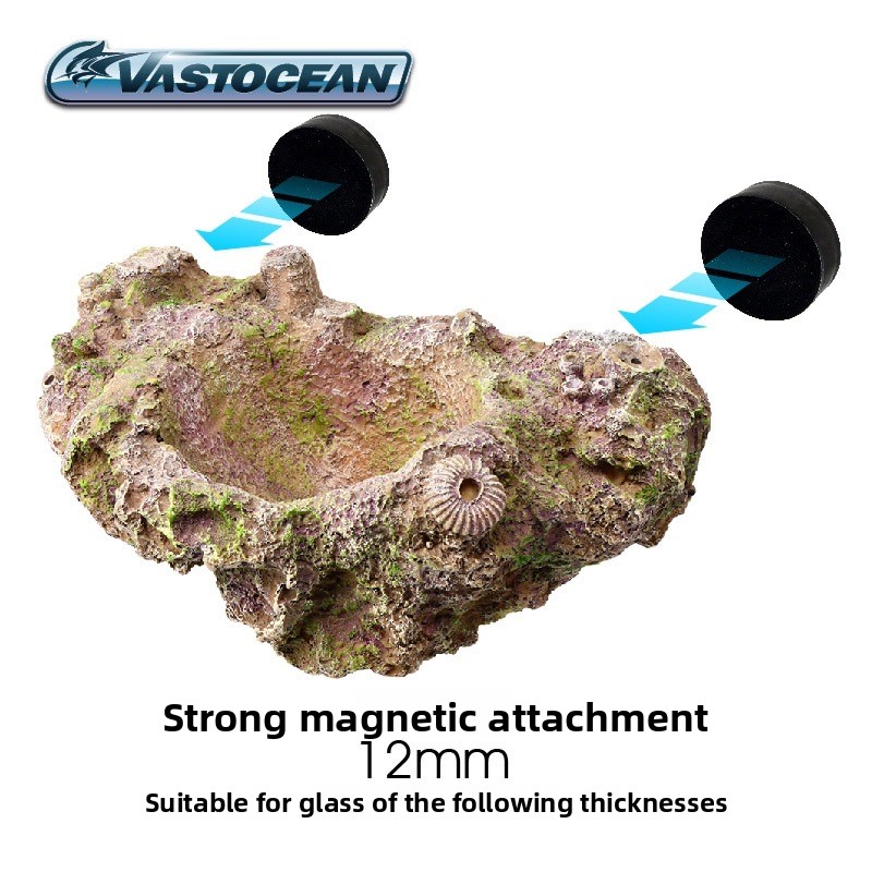 VASTOCEAN Magnetische Anemoon  - Coral Frag Plug recensie en prijs