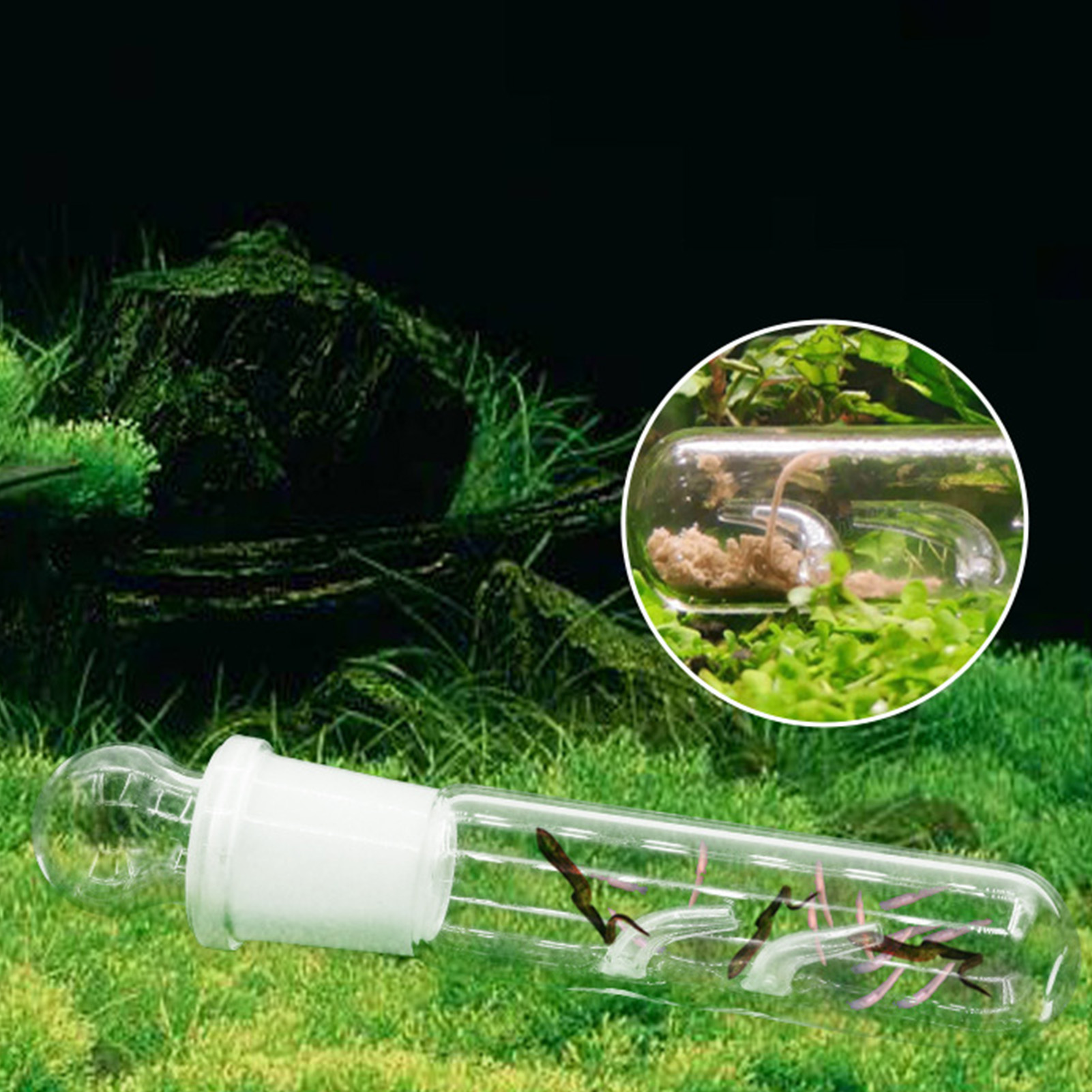 3 gaten bloedzuigersvanger pla - Marine Aquarium Glass Cleaner recensie en prijs