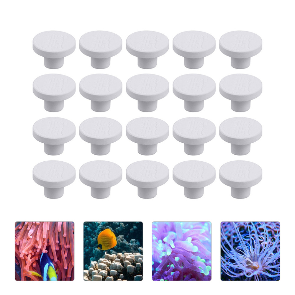 SPS Keramische Koraal Frag Plu - Coral Frag Plug recensie en prijs