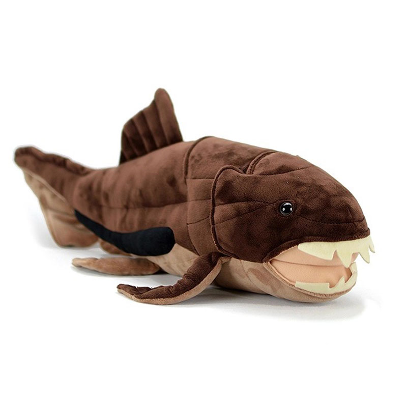 Dunkleosteus terrelli Dunkle F - Aquarium Marine Park recensie en prijs