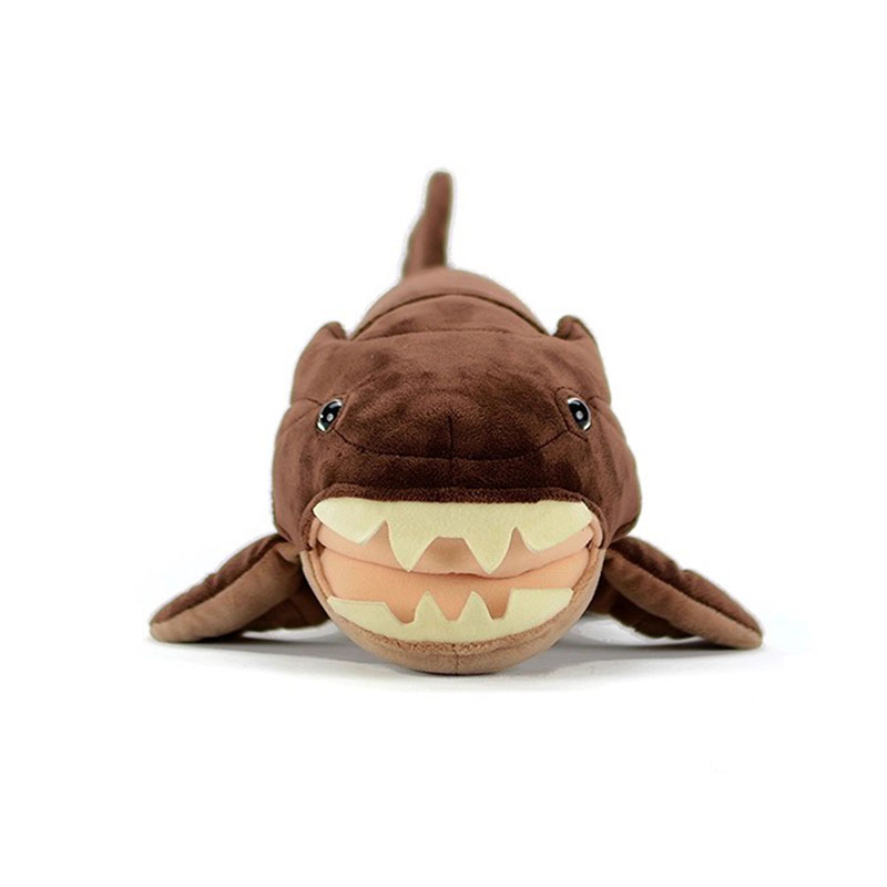 Dunkleosteus terrelli Dunkle F - Aquarium Marine Park recensie en prijs
