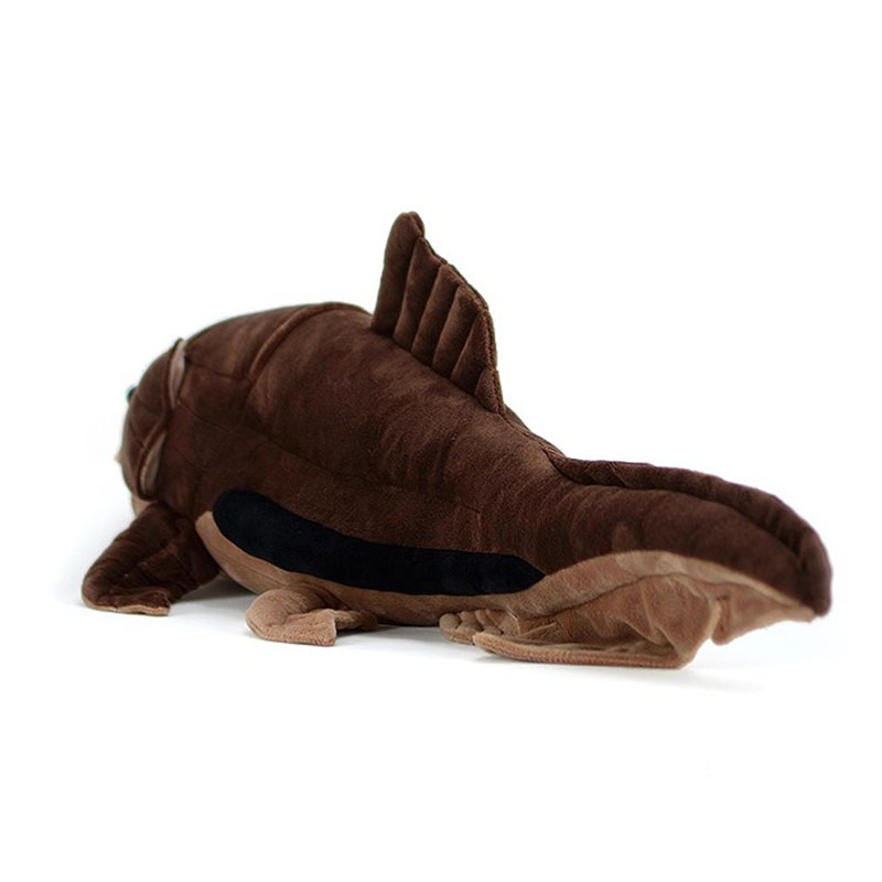 Dunkleosteus terrelli Dunkle F - Aquarium Marine Park recensie en prijs
