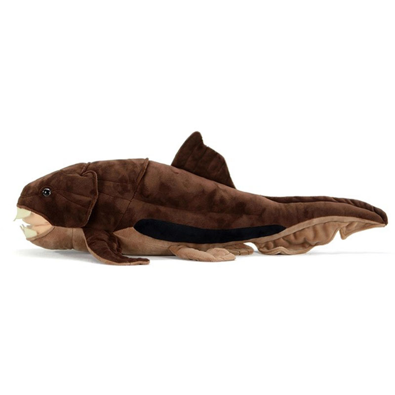 Dunkleosteus terrelli Dunkle F - Aquarium Marine Park recensie en prijs