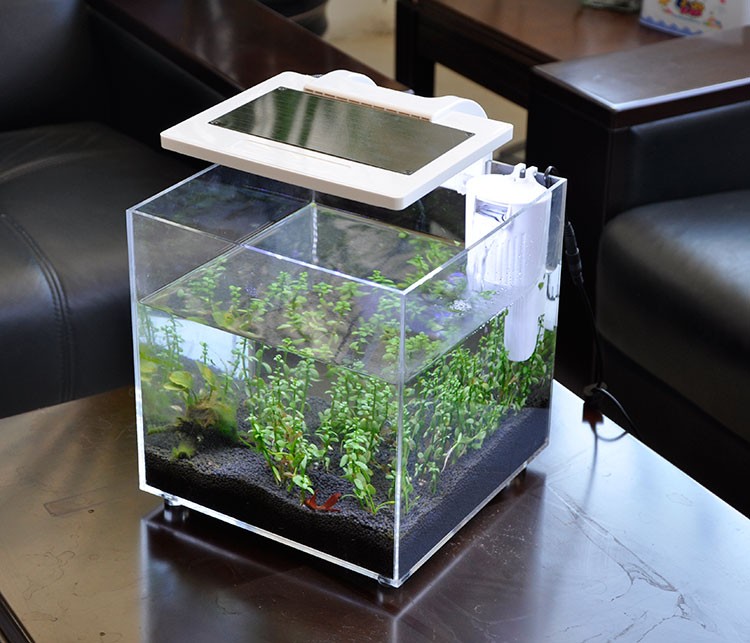 Mini Acryl (25*25*25cm) Aquari - Aquarium Marina recensie en prijs