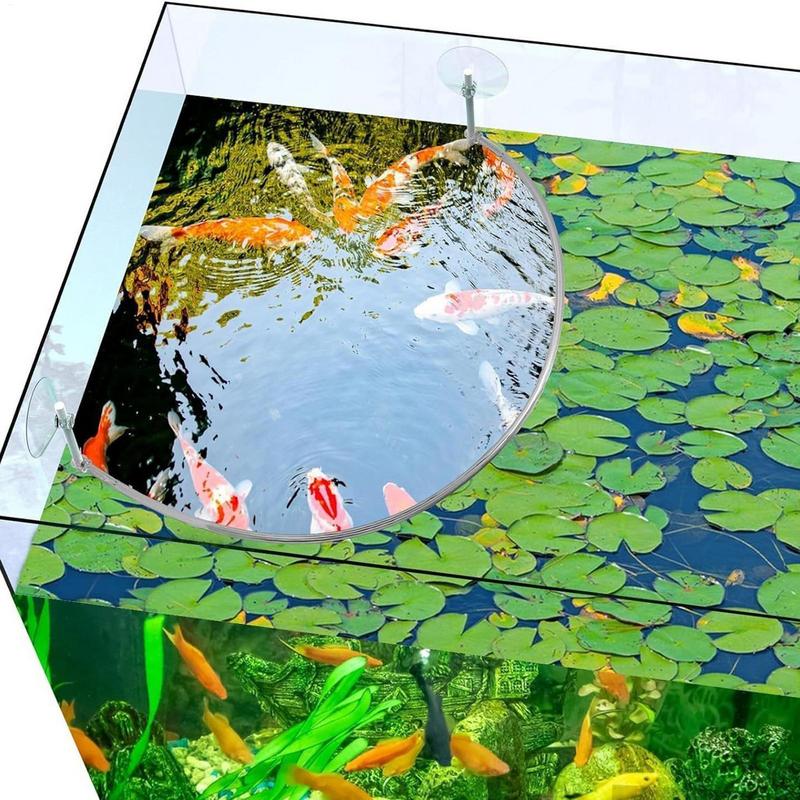 Drijvende plant Corral Fish Fe - Aquarium Marine Filter recensie en prijs