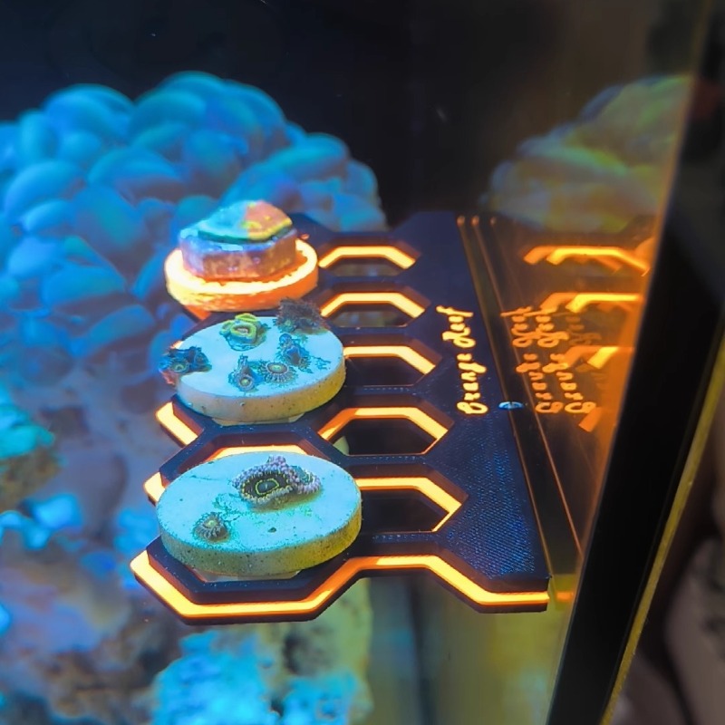 Fluorescerende Magnetische Kor - Coral Frag Plug recensie en prijs