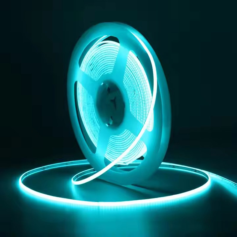 5m12V 24V 3mm 5mm 8mm COB Flex - Aquarium Marine Park recensie en prijs