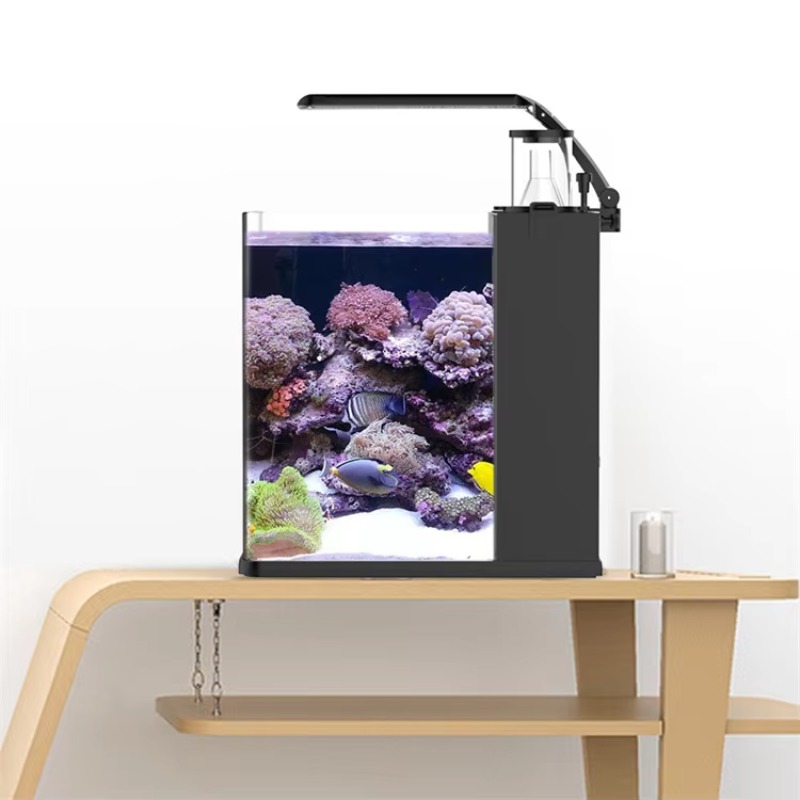 Gebogen zoutwater aquarium voo - Marine Aquarium All In One recensie en prijs