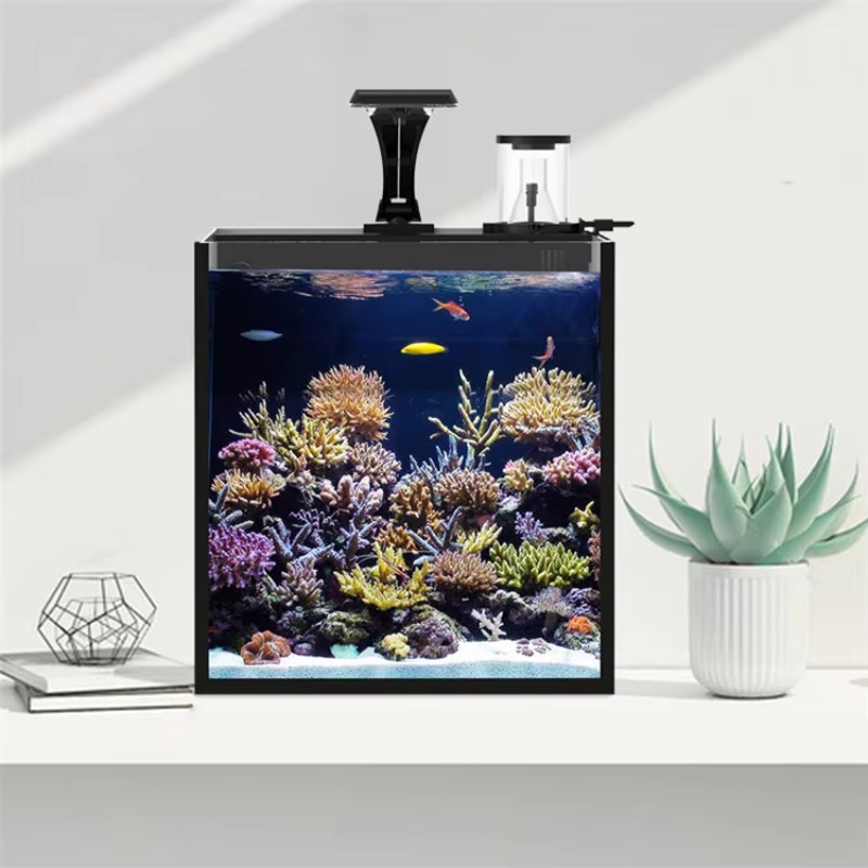Gebogen zoutwater aquarium voo - Marine Aquarium All In One recensie en prijs